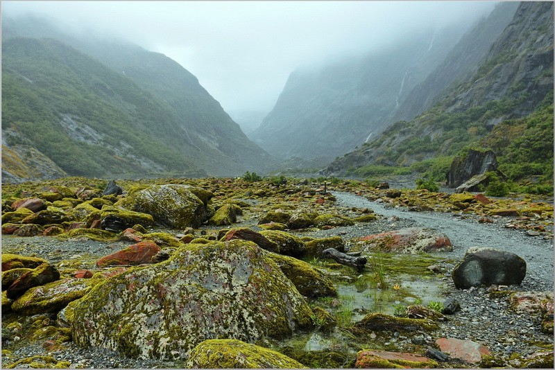 Mossy Rocks Everywhere